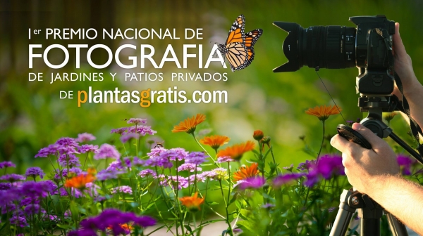 Concurso Fotográfico PlantasGratis.com